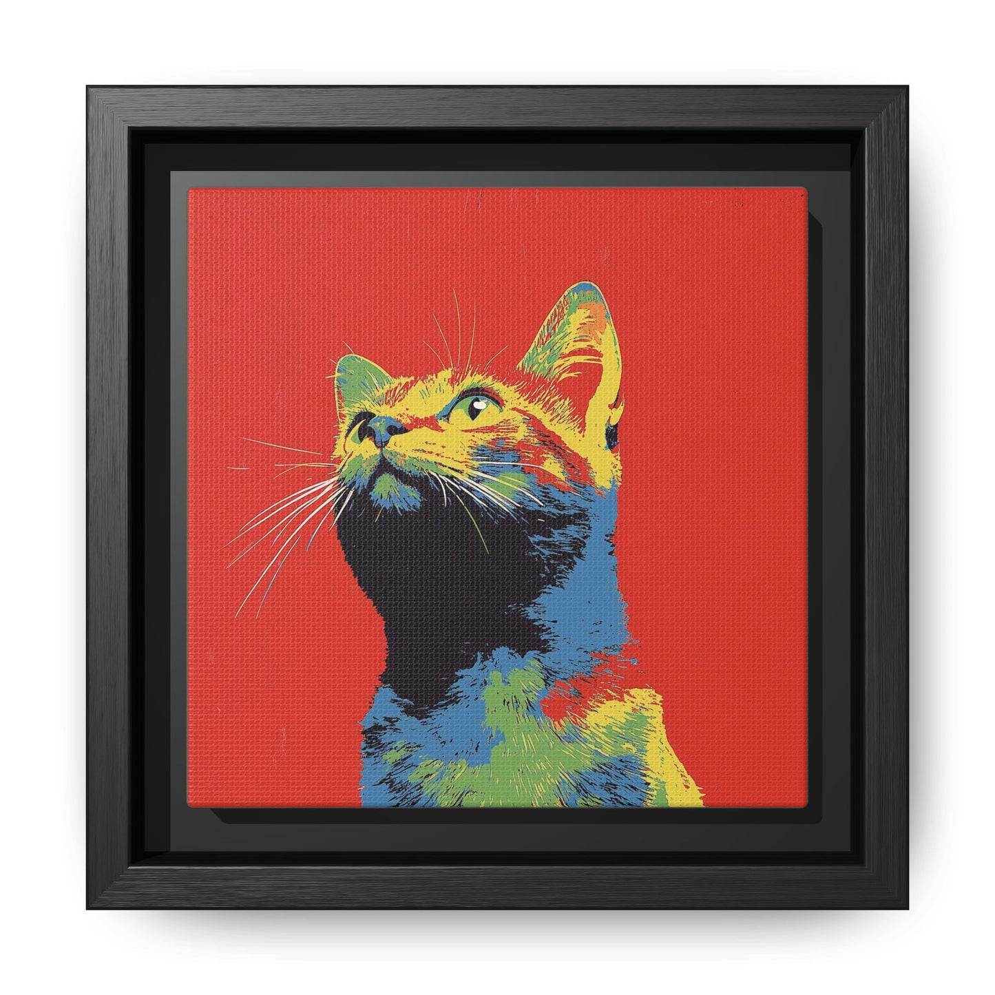 Cat On Red