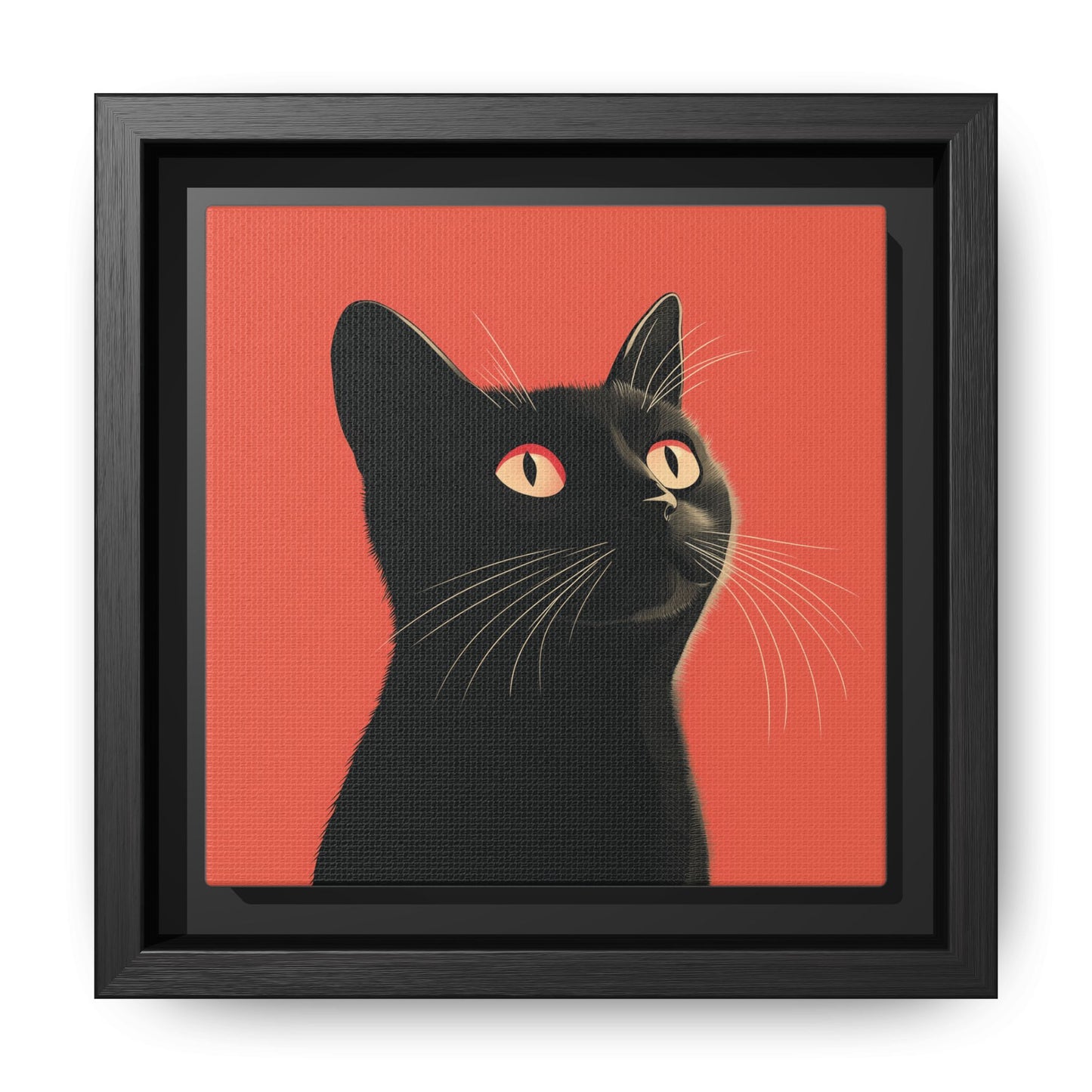 Black Cat