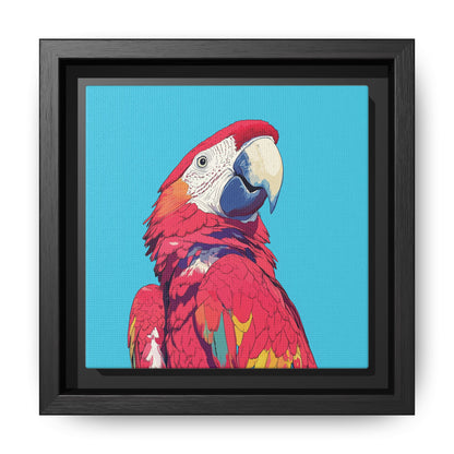 Parrot Look