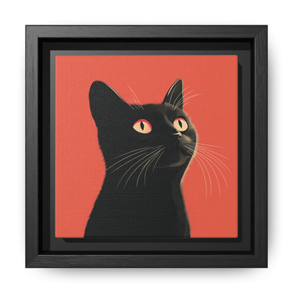 Black Cat